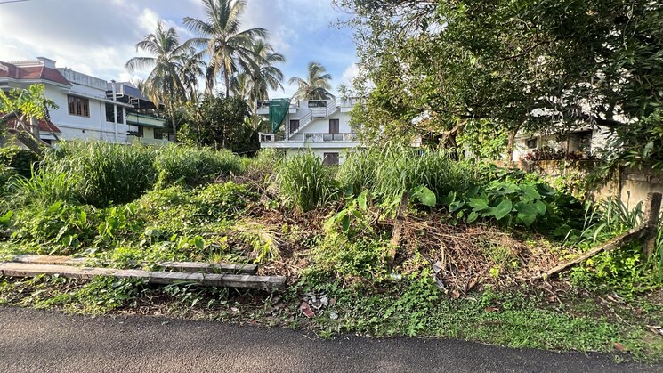 Garden, kuttanellur  4573 Sq.Ft. Plot In Kuttanellur Thrissur 9195807