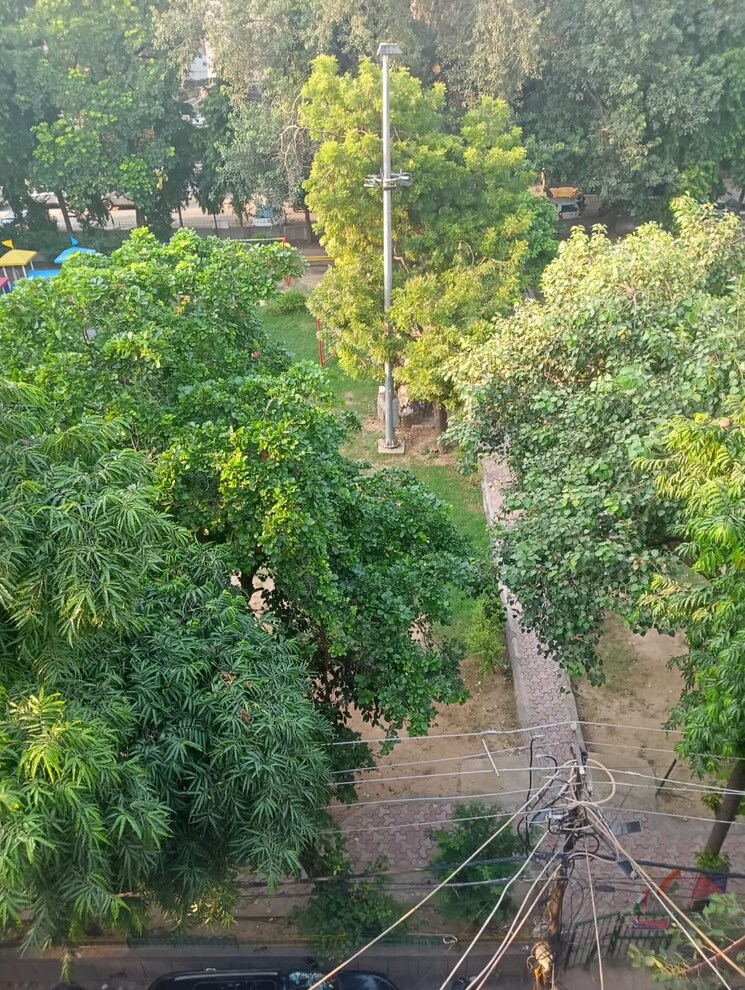 Garden, lajpat nagar i 2 Bedroom 900 Sq.Ft. Builder Floor In Lajpat Nagar I Delhi 9195867