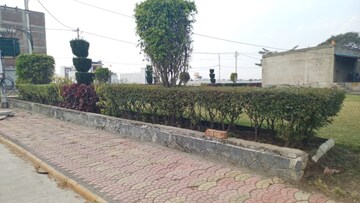 Plot Area in  Plot at Panchderiya – for Sale