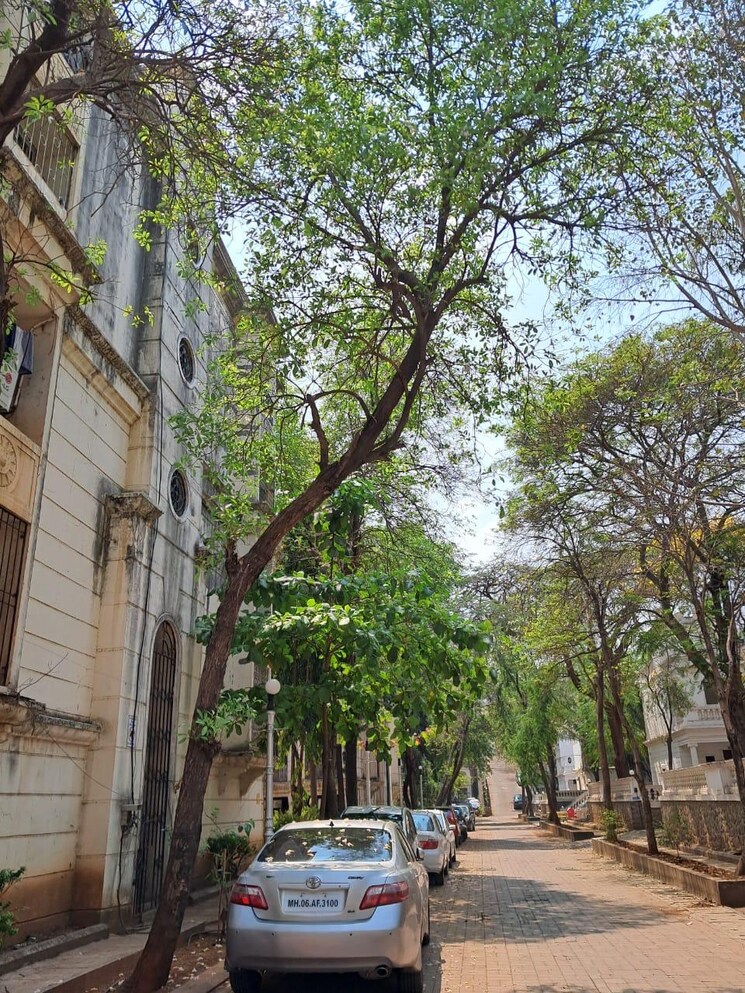 Exterior View, palace-orchard-chs 2 Bedroom 850 Sq.Ft. Apartment In Mohammadwadi Pune 9196270