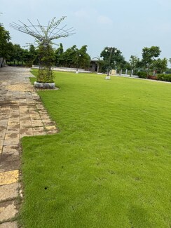 Plot For Sale in MIHAN