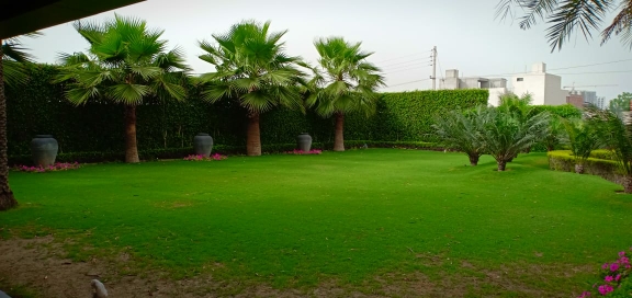Plot For Sale in Pakhowal Road