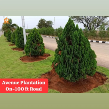  Plot – Garden View at JB Nature Valley, Kothulapuram - for Sale