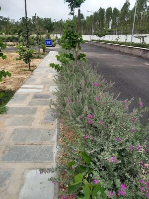  Plot – Exterior View View at Aparna Dharani, Dundigal - for Sale