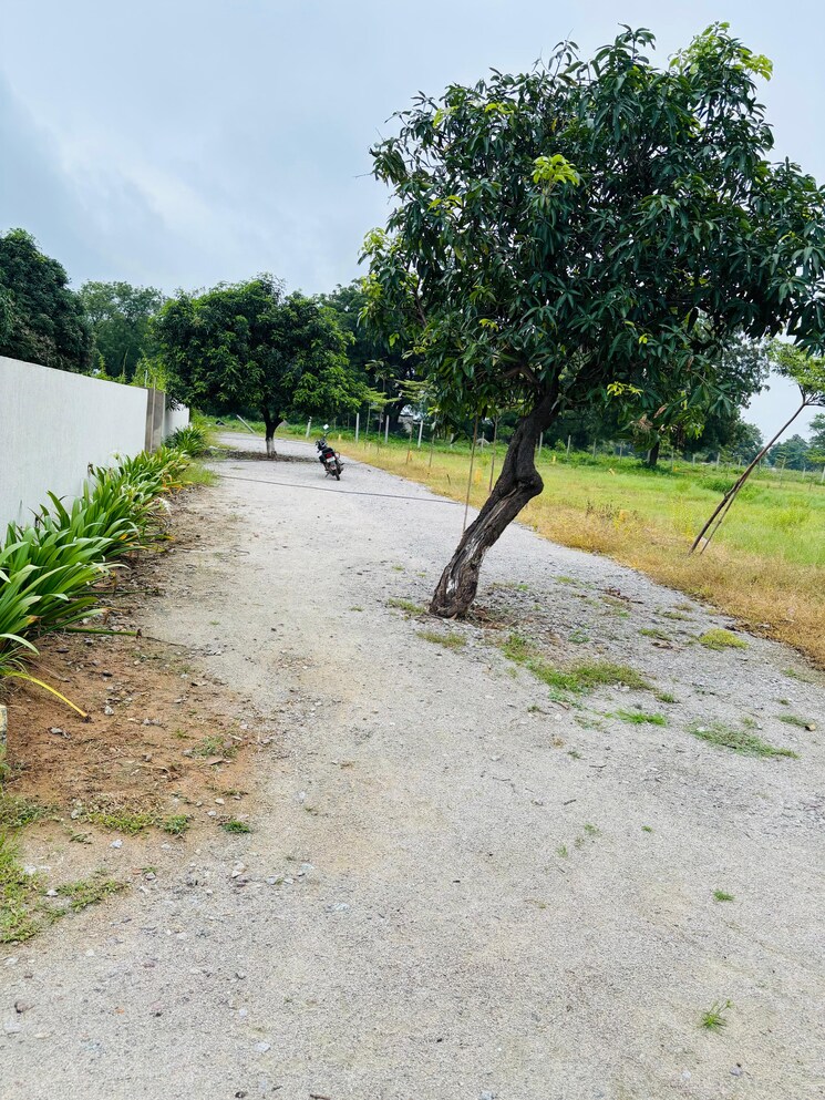 undefined, indresham  151 Sq.Yd. Plot In Indresham Hyderabad 9196675