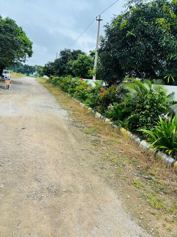 Plot Area in  Plot at Shadnagar – for Sale