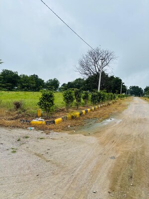 Plot Area in  Plot at Shadnagar – for Sale