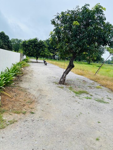 Plot Area in  Plot at Shadnagar – for Sale