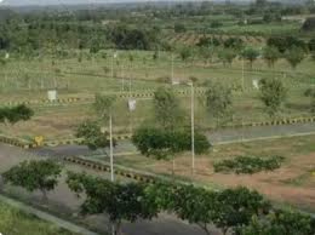 Plot For Sale in Yamuna Expressway Sector 