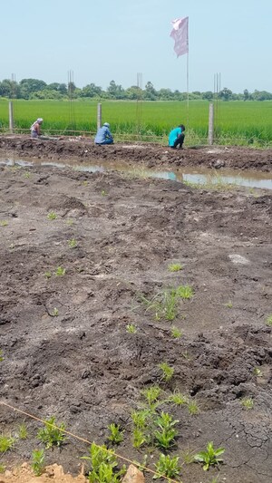 Plot Area in  Land at Pamarru – for Sale