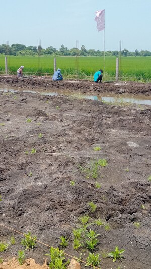 Plot Area in  Land at Pamarru – for Sale