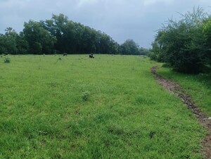  Plot For Sale in Vangaon