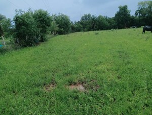 Plot Area in  Plot at Vangaon – for Sale