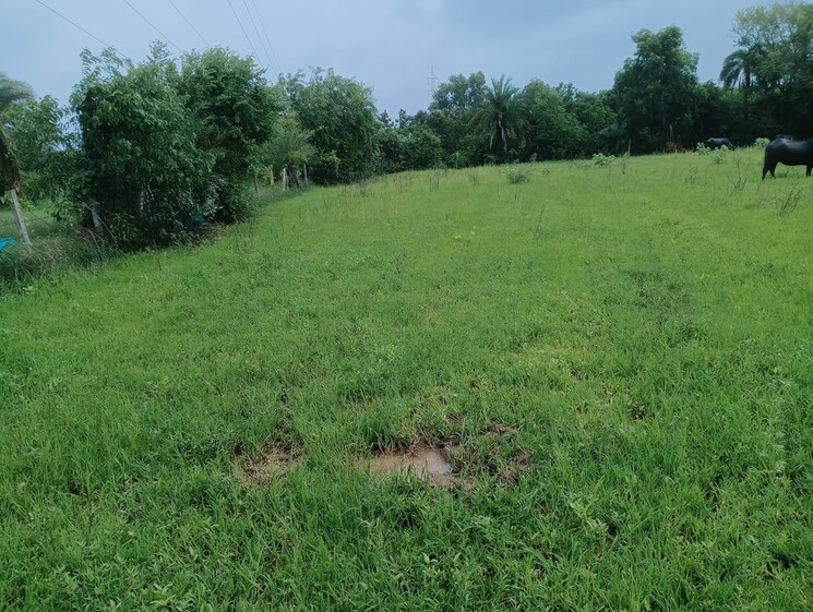 undefined, vangaon  3 Acre Plot In Vangaon Palghar 9196991