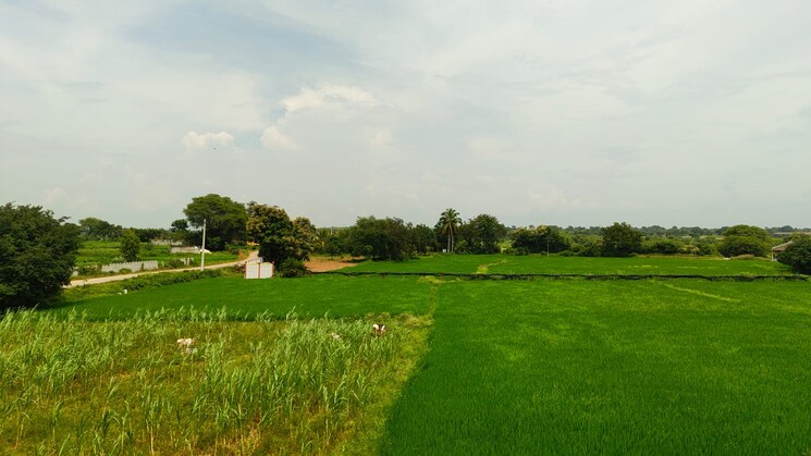undefined, shabad Commercial Land 2 Acre In Shabad Hyderabad 9197140