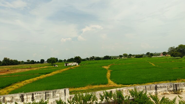 Garden, shabad Commercial Land 2 Acre In Shabad Hyderabad 9197140