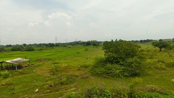 Plot Area in  Land at Shabad – for Sale