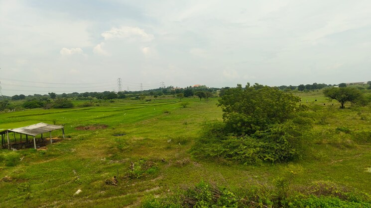 undefined, shabad Commercial Land 2 Acre In Shabad Hyderabad 9197140