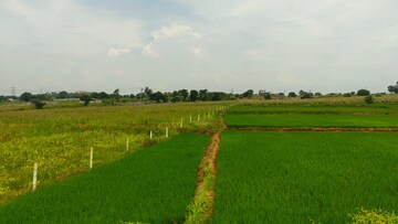  Land For Sale in Shabad
