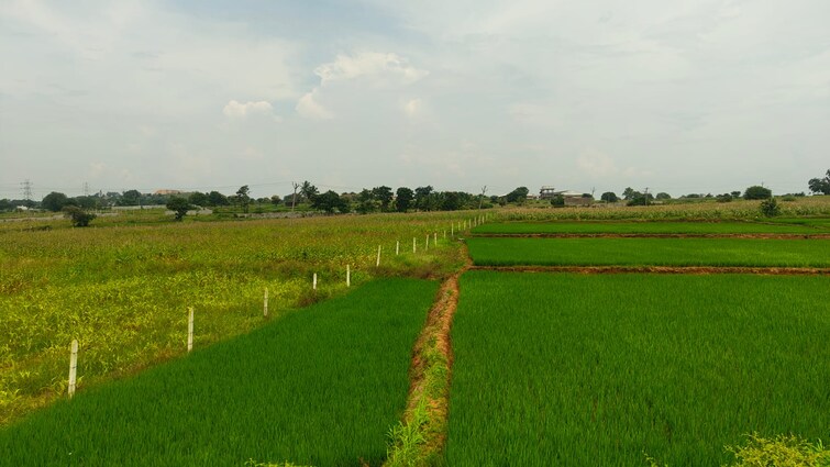 Cover Image, shabad Commercial Land 2 Acre In Shabad Hyderabad 9197140