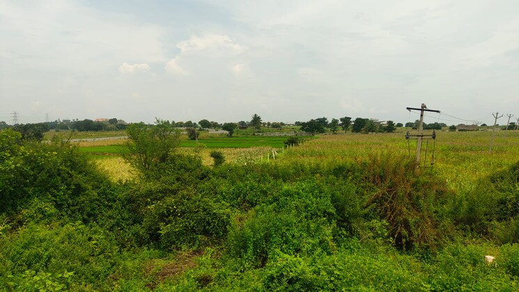 undefined, shabad Commercial Land 2 Acre In Shabad Hyderabad 9197140