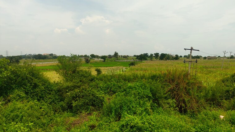 undefined, shabad Commercial Land 2 Acre In Shabad Hyderabad 9197140