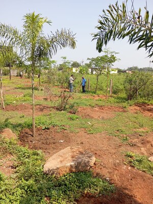 Plot Area in  Plot at Dhamtari Road – for Sale