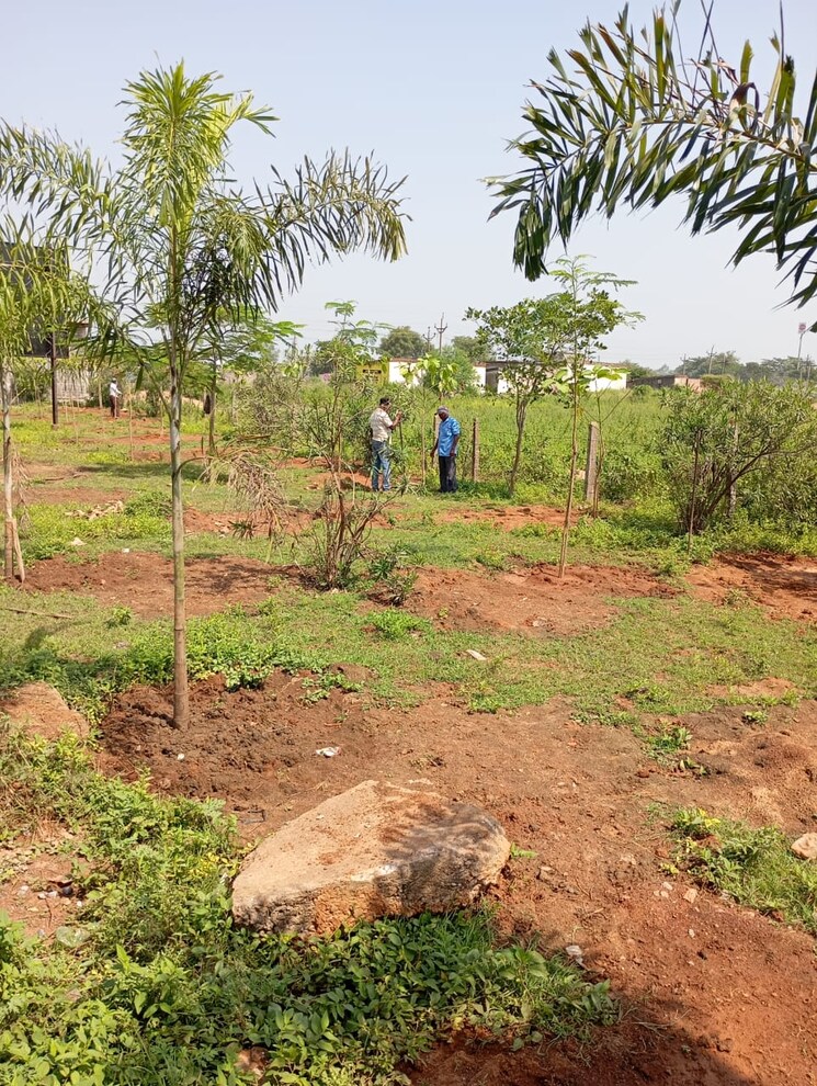 undefined, dhamtari road  3600 Sq.Ft. Plot In Dhamtari Road Raipur 9197194