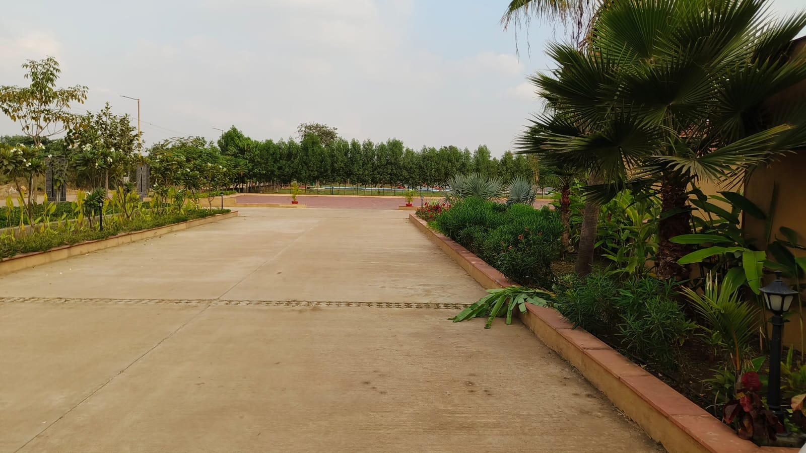 Plot For Sale in Dhamtari Road