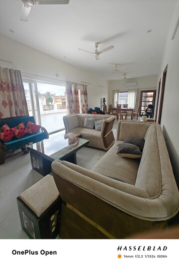 4 BHK Apartment For Rent in Exotic Grandeur, Baltana