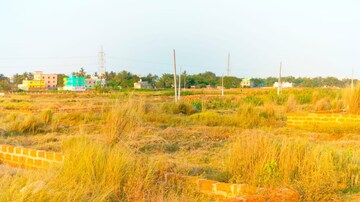 Plot Area in  Plot at Patrapada – for Sale