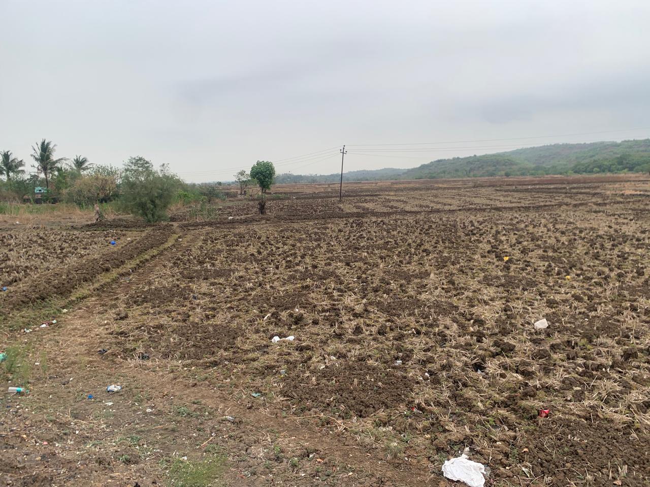 Land For Sale in Commercial Plot 