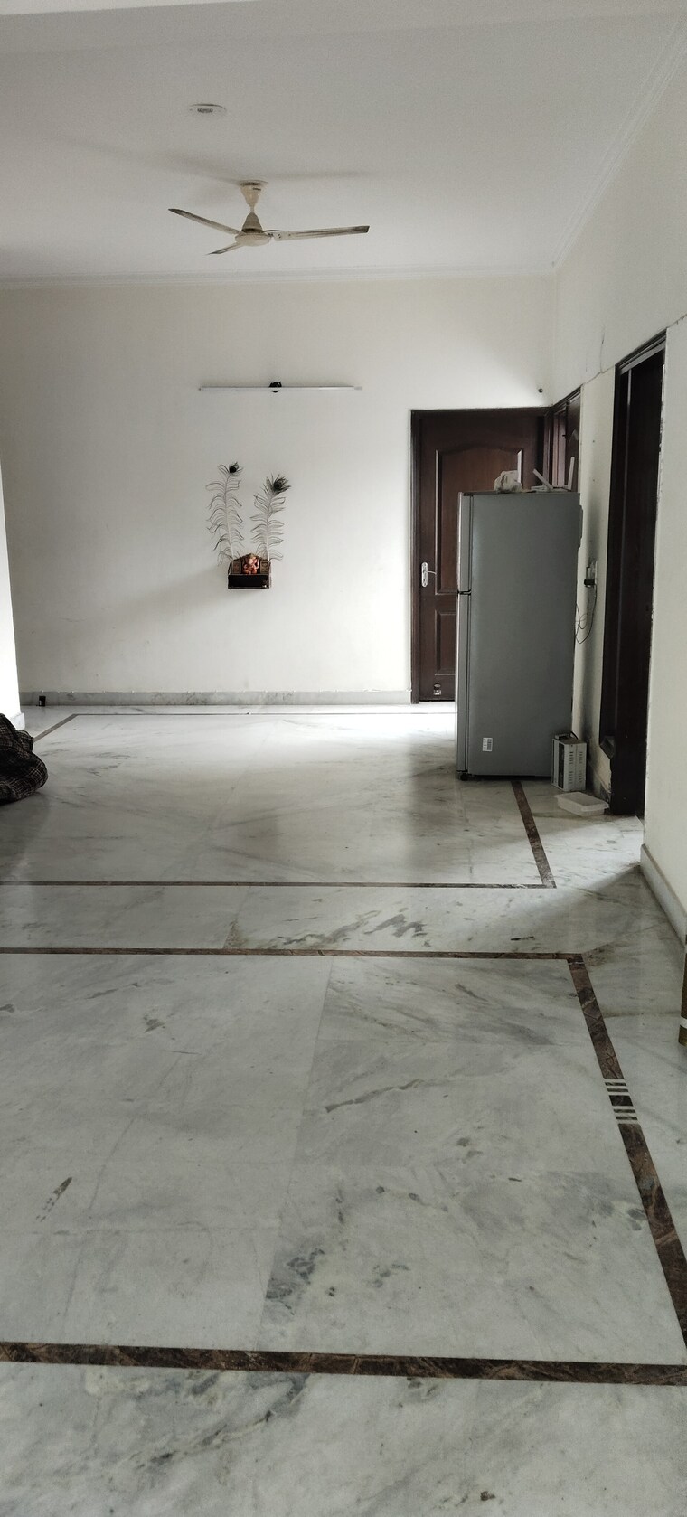 Room, sector 55 4 Bedroom 4000 Sq.Ft. Builder Floor In Sector 55 Gurgaon 9197662