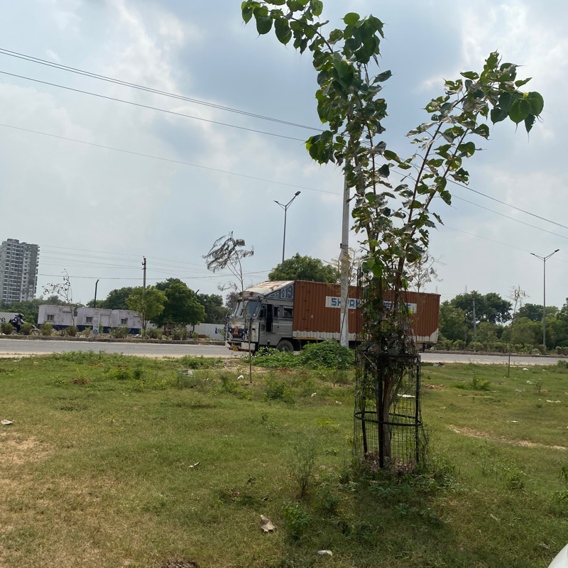 Plot For Sale in Sector 85