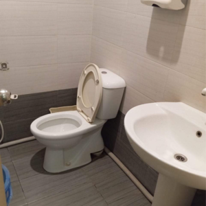 Bathroom in 2 BHK Apartment at Malad West – for Sale