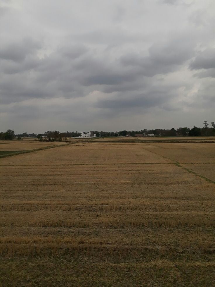 Plot For Sale in Pls Villas