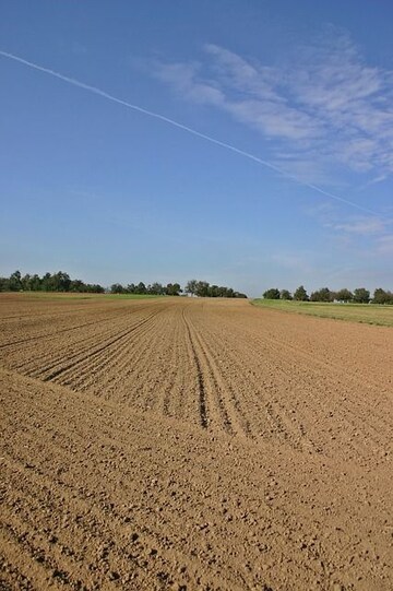  Plot For Sale in Marsur