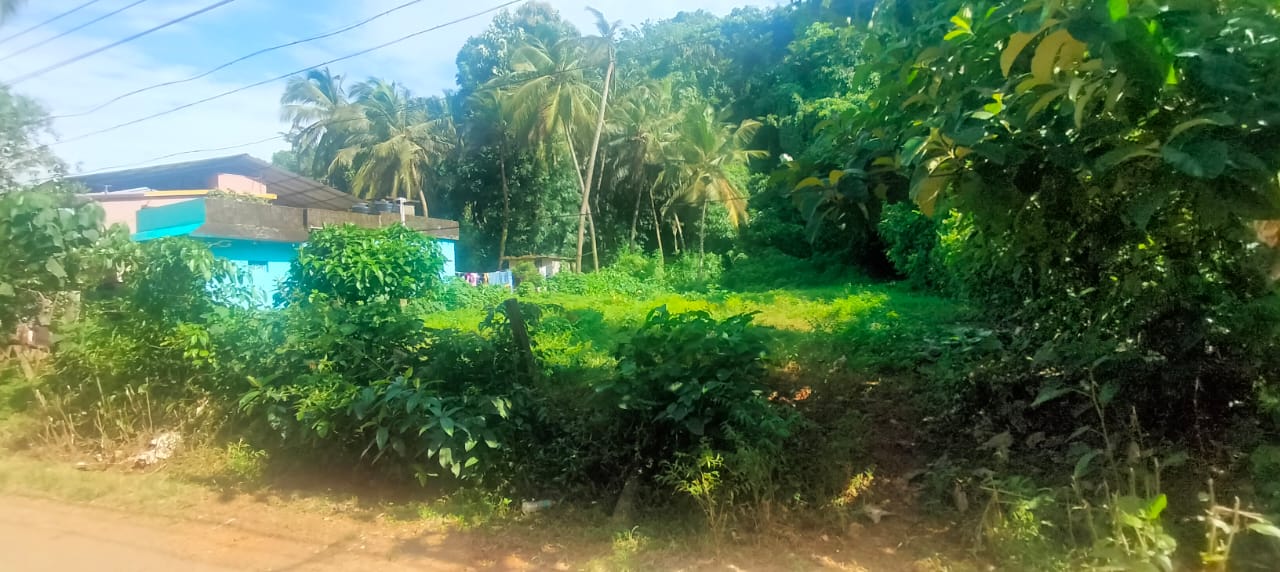Plot For Sale in Amala Nagar
