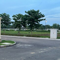 Plot For Sale in Dayalpur