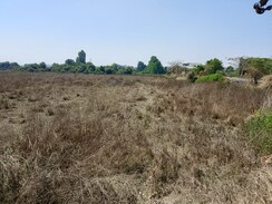 Land For Sale in Commercial Plot 