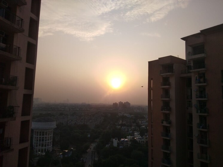 Exterior View, amrapali-pan-oasis 1 RK 400 Sq.Ft. Apartment In Sector 70 Noida 9199033