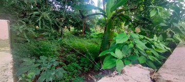 Plot Area in  Land at Patturaickal – for Sale