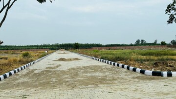  Plot For Sale in Sector 98