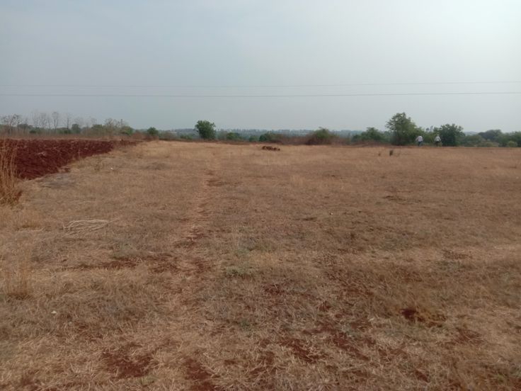 Plot For Sale in Pps Plots