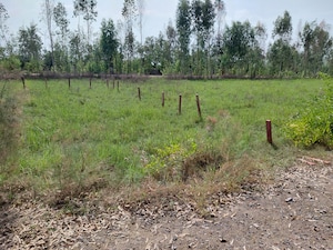  Plot For Sale in Chhatikara