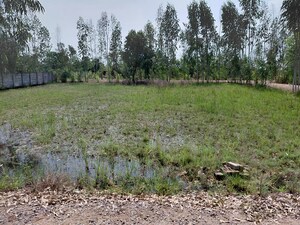 Plot Area in  Plot at Chhatikara – for Sale