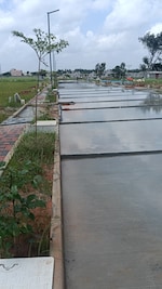 1200 Sq.Ft. Plot in Taj Plot For Sale 