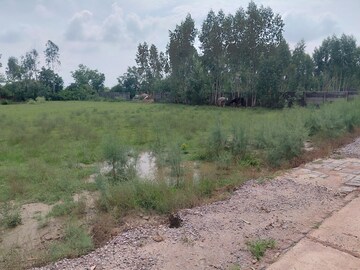 Plot Area in  Plot at Chaumuhan – for Sale