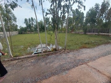 Plot Area in  Plot at Chaumuhan – for Sale