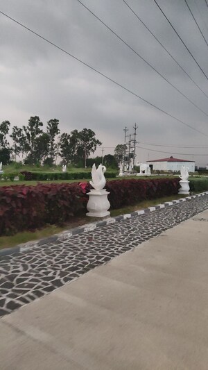  Plot – Exterior View View at Ujjain Road - for Sale